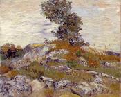 文森特 威廉 梵高 : 橡树岩石